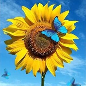 Meet your Posher, Sophia